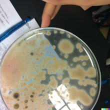 Cargar imagen en el visor de la galería, Interpretación de la norma ISO 29201:2012 "Calidad del agua - Variabilidad de los resultados de las pruebas e INCERTDIUMBRE DE MEDICION de los métodos de enumeración microbiológica"