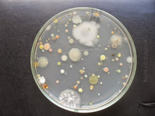 Cargar imagen en el visor de la galería, Validación, Verificación y Evaluación de la Incertidumbre de Métodos de Ensayos Microbiológicos orientados a Calidad de Aguas

